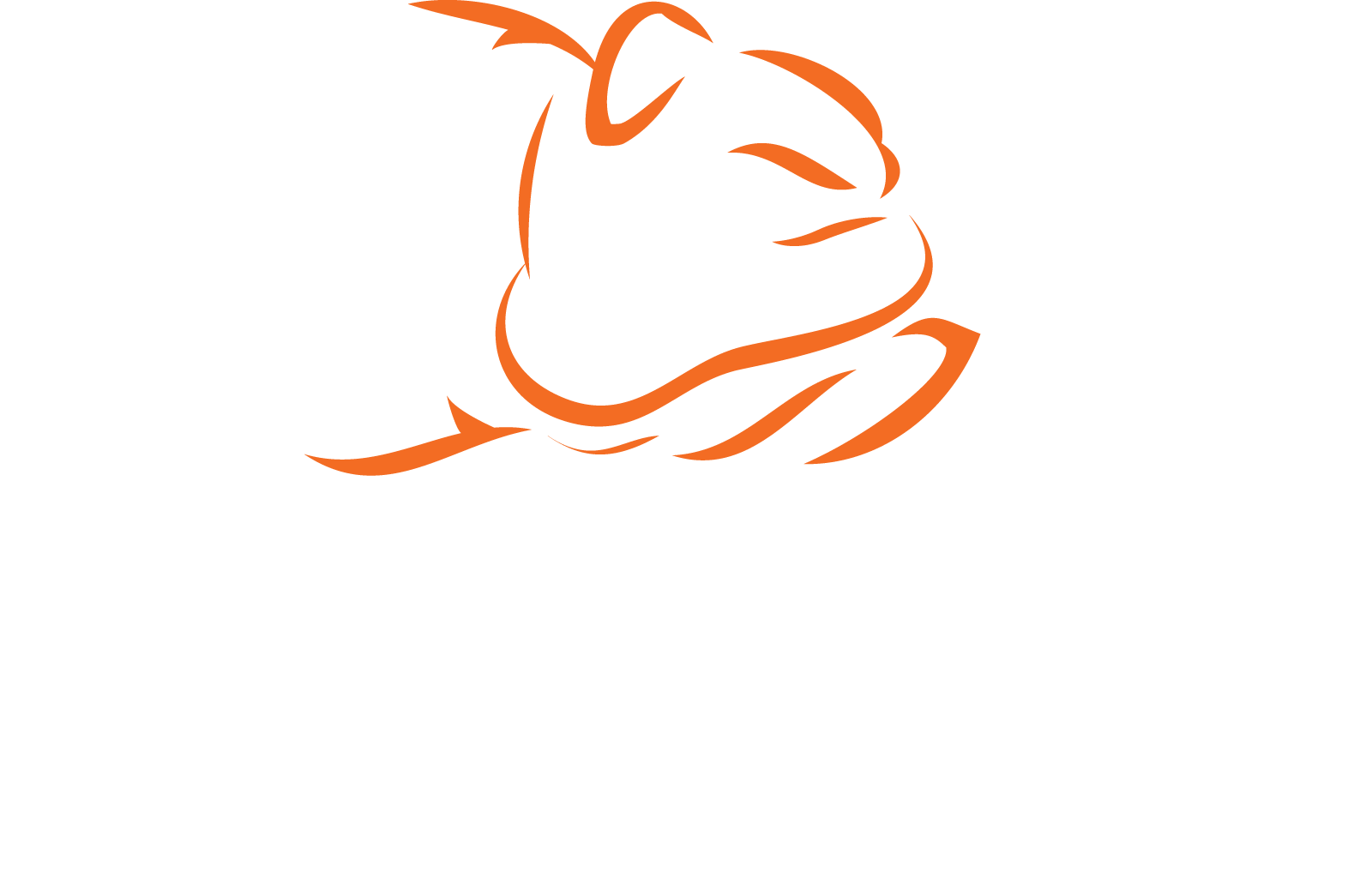 Bad Boy Mowers